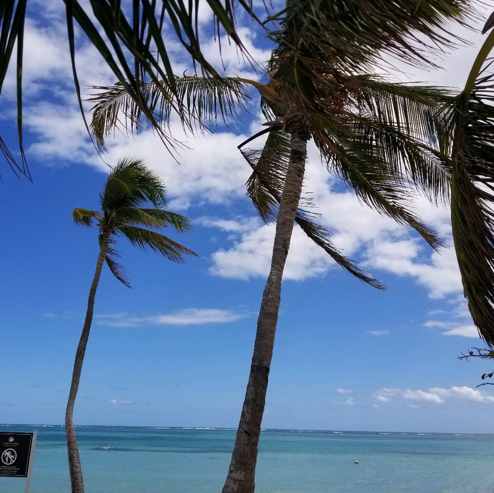 Meet your Posher, Jeanette